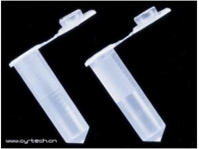 美國愛思進(jìn) AXYGEN，SCT-50ML-25-S,50ml錐形離心管