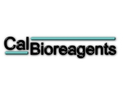 CalBioreagents代理，CalBioreagents蘇州代理，